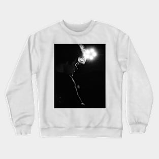 Drastically Internal Crewneck Sweatshirt